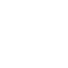 Palam Silks